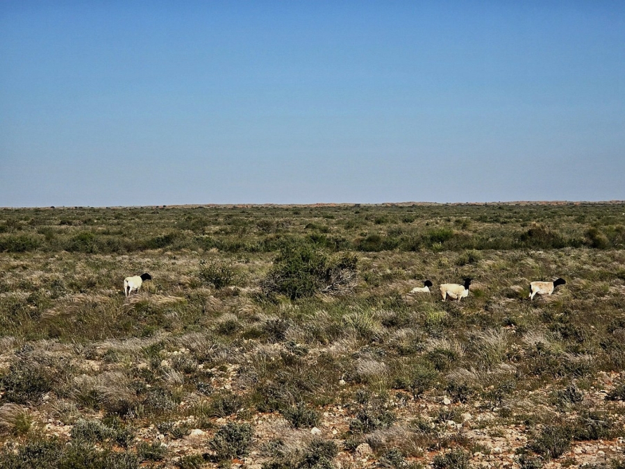 Commercial Property for Sale in Upington Rural Northern Cape